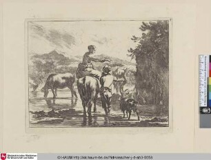 [Das reitende Mädchen beim Wasserfall; The waterfall]