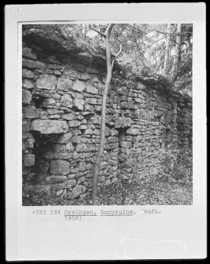 Burgruine (Kirnberg?)