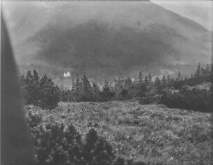 Wald : Blick auf einen Wald an einem Berghang