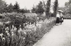 Mariannenpark