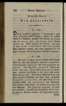 Zwanzigstes Capitel. Vom Zungenbein. § 458-462.