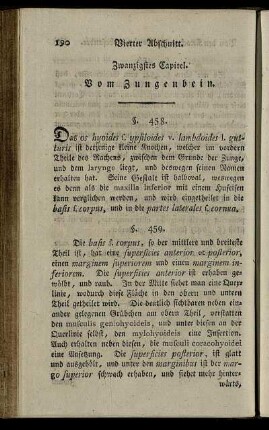 Zwanzigstes Capitel. Vom Zungenbein. § 458-462.