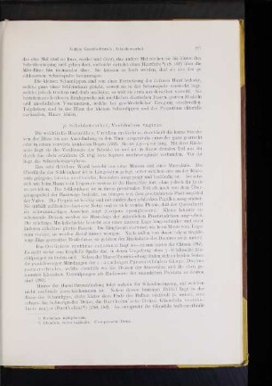 Scheidenvorhof, Vestibulum vaginae.