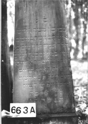 Grabstein 663 (Index: 99900573) Material: Sandstein Zustand: angewittert Maße HxBxT: 149x43x29 cm Beschreibung: Obelisk: Grabstein 663A
