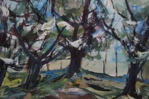 Landschaft mit blühenden Bäumen