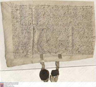 Herman [III.], Erbmarschall zu Hessen, und Jorge Riedesel (Rietesil), Gebrüder, Katrine und Anne, ihre ehelichen Hausfrauen, verkaufen Johann Bück...