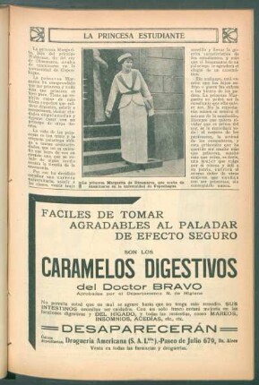 La princesa estudiante