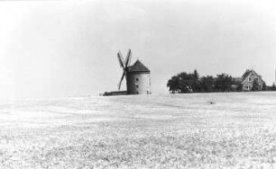 Hochkirch-Rodewitz. Erdholländer und Gehöft