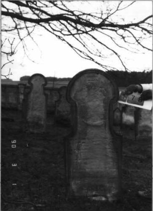 Grabstein 178 (Index: 100115029) Material: Sandstein Zustand: verwittert mit sehr großem Textverlust Maße HxBxT: 150x62x12 cm Beschreibung: Stele mit Hufeisenbogen und sehr langem Hals: Grabstein 178