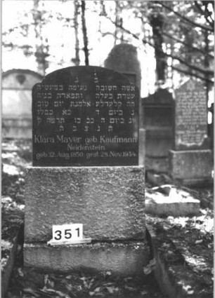 Grabstein 351 (Index: 99898406) Material: Granit Zustand: gut erhalten Maße HxBxT: 97x58x14 cm Beschreibung: aufgesockelte Stele mit eingezogenem Bogenabschluss: Grabstein 351