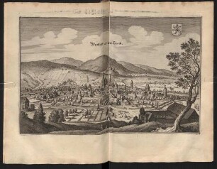 Neustadt an der Hardt.