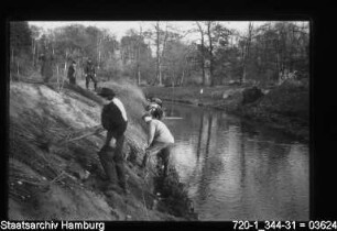Deichbau