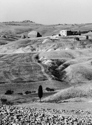 Landschaft bei Pienza