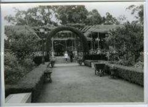 Rosengarten von Palermo, Buenos Aires, Argentinien