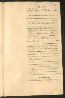 Standesamtsbuch der Stadt Aschaffenburg: Geburten 365/1900 - 184/1901