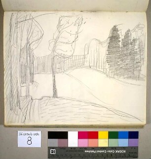 Waldlandschaft
