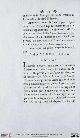 Amazone Ferita Tav. XV