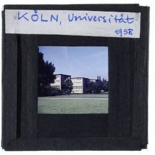 Köln, Universität