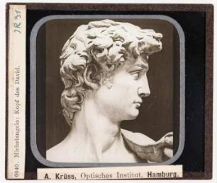 Michelangelo: David, Detail Kopf (Krüss-Nr. 6040)