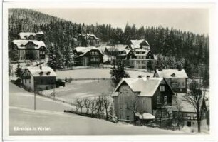Bärenfels. Winter in Bärenfels