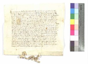 Übergabe von Gütern zu Bihlafingen (Konrad von Ehrenstein)