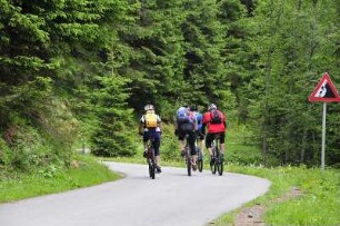 Radfahrer im Wald bei Mayrhofen : Eine Radfahrergruppe fährt auf einer asphaltierten Straße bergan. Aufgenommen im Stilluptal bei Mayrhofen (Tirol) am 28. Mai 2009