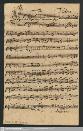Violone.