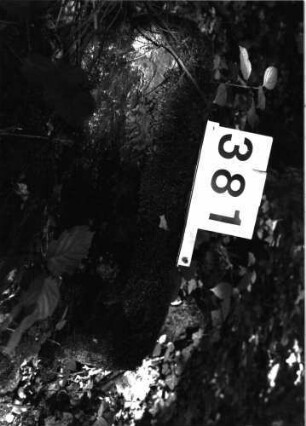 Grabstein 381 (Index: 99897944) Beschreibung: Fragment: Grabstein 381