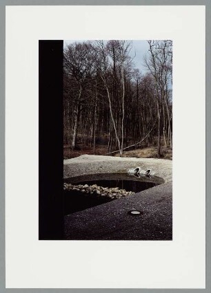 Blick auf ein Wasserleitungsbecken an einem Waldstück