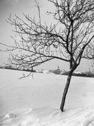 Cotta, Winter : Cotta. Blick von Nordwest auf den Cottaer Spitzbergern nach Nordost auf Kirche und Schule. Winterbild