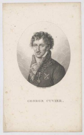 Bildnis des George Cuvier