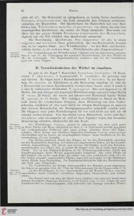 II: Verschiedenheiten der Wirbel im einzelnen