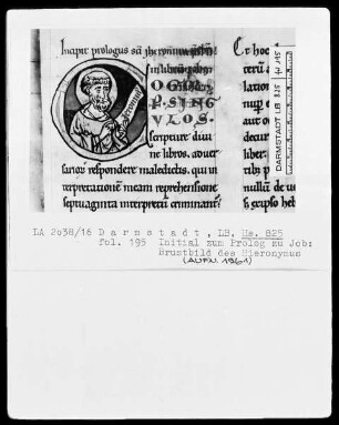 Biblia Sacra omissis psalterio et libris prophetarum — Biblia Sacra omissis psalteria et libris prophetarum (Bd. 2) — Hieronymus, Folio 195