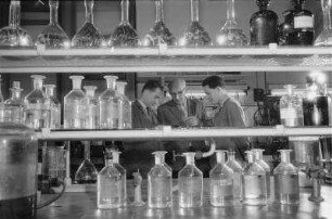 Phosphor Forschung: Magnesium : Bitterfeld. VEB Elektrochemisches Kombinat Bitterfeld.