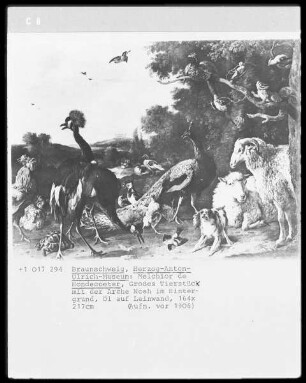 Die Tiere vor der Arche Noah