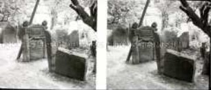 Jüdischer Friedhof in Prag