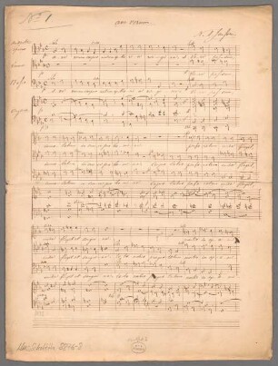 Ave verum; E|b; Coro, org - BSB Mus.Schott.Ha 8876-8
