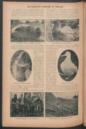 La expedición antártica de Mawson