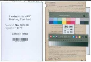 Entnazifizierung Maria Scherer , geb. 16.05.1909 (Lehrer)