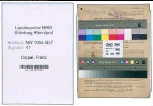 Entnazifizierung Franz Dippel , geb. 08.01.1895 (Stadtmissionar)