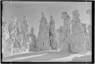 Keilberg (Klínovec). Winterlandschaft