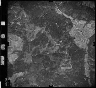 Luftbild: Film 7 Bildnr. 556