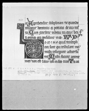 Psalterium mit Kalendarium — Initiale D (omine quid multipli), Folio 9verso