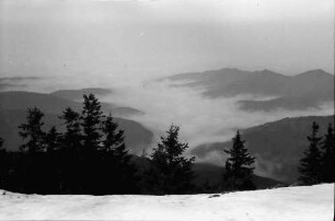 Belchen: Nebelmeer über dem Münstertal; vom Belchen