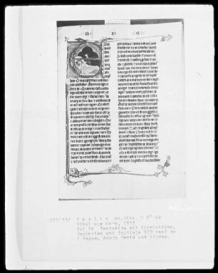 Camper Bibel, die zwei fragmentarisch erhaltenen Bände — Camper Bibel, Band 2 — Initiale E (t rex), darin David und Abishag, Folio 56recto
