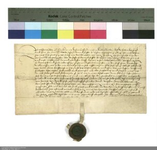 Revers Wolfgang Schotts bezüglich der Belehnung mit einem Hof in Breitensee durch Hartmann [Burggraf von Kirchberg], Abt von Fulda