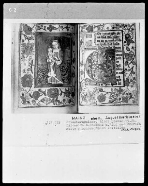 Liber precum: folio ?, Madonna