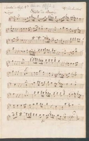 Viola da braccio