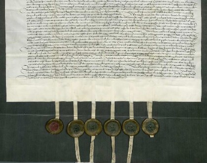 Die Gebrüder Dr. Ulrich, Eberhard, Wilhelm und Georg von Thürheim ("Tu/o/rhain") [Unterthürheim Gde. Buttenwiesen/Lkr. Dillingen] verkaufen dem Heiliggeistspital in Ulm [abgegangen, Bereich Neue Straße, Lagerbuch 261/2 und 254] und seinen Pflegern, den Ulmer Ratsherren Veit Rudolf und Matthäus Laupin ("Lupin"), sowie dem Hofmeister des Spitals Andreas Utzel ihren Halbteil an der Fischweide in Gögglingen ("Go/e/gklingen") [Stadt Ulm] mit Haus, Stadel und einem Korb auf der Hofstatt zwischen dem Gut der Neyffin und der Hofstatt des Johann Kißling. Davon haben sie bisher jährlich 13 Pfund als Zins bezogen. Außerdem verkaufen sie ihnen ihren Halbteil an zwei Wiesen, die ihnen bisher jährlich 14 Gulden Zins ertragen haben, sowie ihren Halbteil an einer Wiese, die derzeit der Ammann zu Gögglingen Leonhard Groß gegen einen jährlichen Zins von 7 Pfund bewirtschaftet. Der andere Halbteil an Fischweide und Wiese gehört bereits dem Spital. Dafür haben die Käufer Georg von Thürheim ein jährliches Leibgeding in Höhe von 60 Gulden und Magdalena von Thürheim, Nonne im Klarissenkloster Königsfelden ("Kunigsvelden") [Gde. Windisch Kanton Aargau/Schweiz], ein Leibgeding in Höhe von 5 Gulden verschrieben.