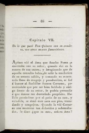 Capitulo VII.